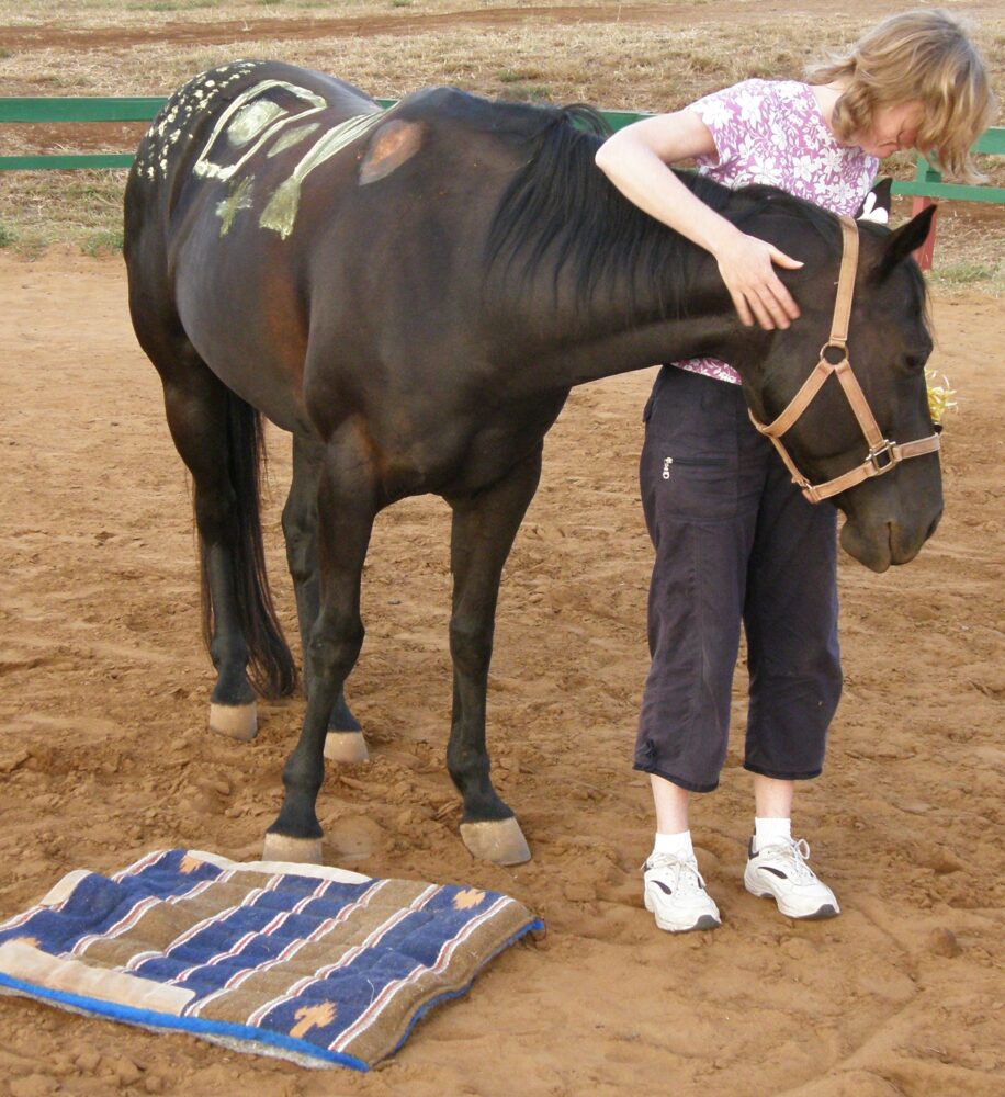 OLYMPUS DIGITAL CAMERA OLYMPUS DIGITAL CAMERA