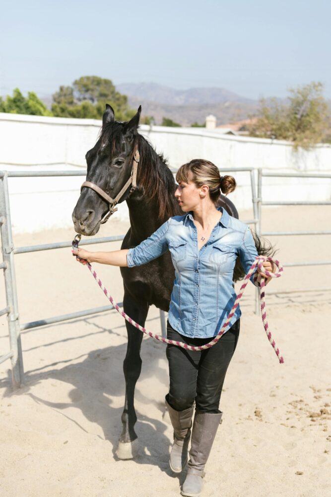 woman leading horse Woman leading a horse as part of an equine therapy session