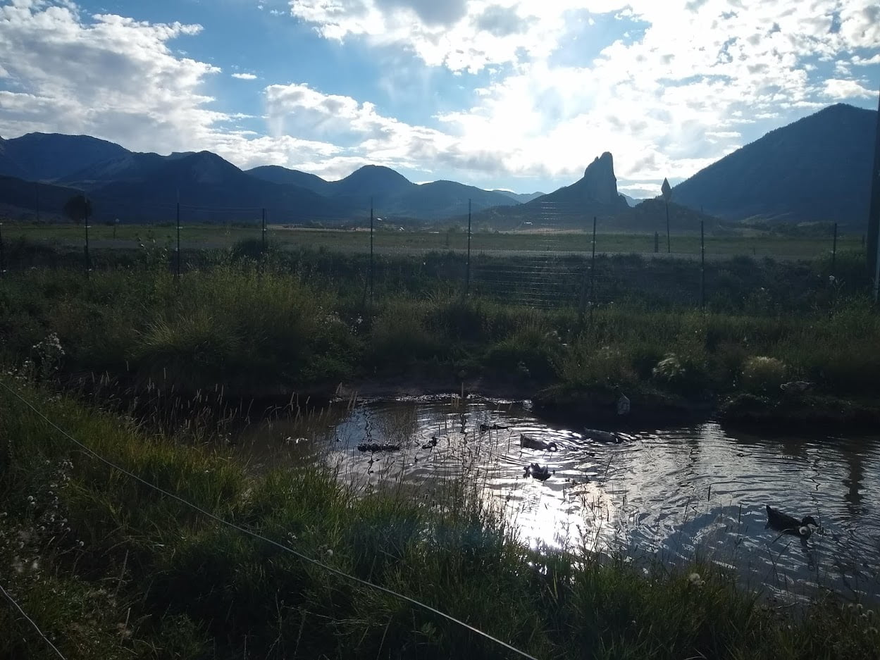 duck pond and needle rock