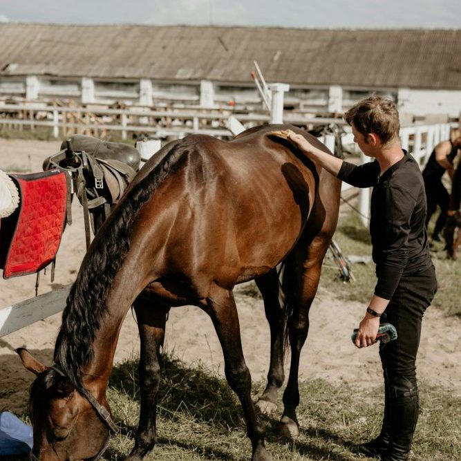 A young man brushes a horse after riding.