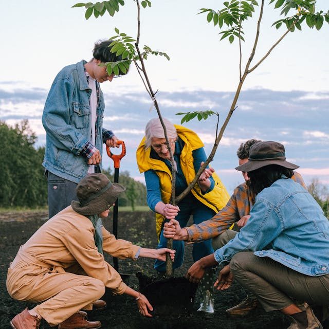 A group of people learns to plant a tree