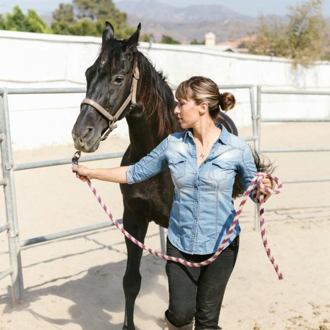 Woman leading a horse as part of an equine therapy session